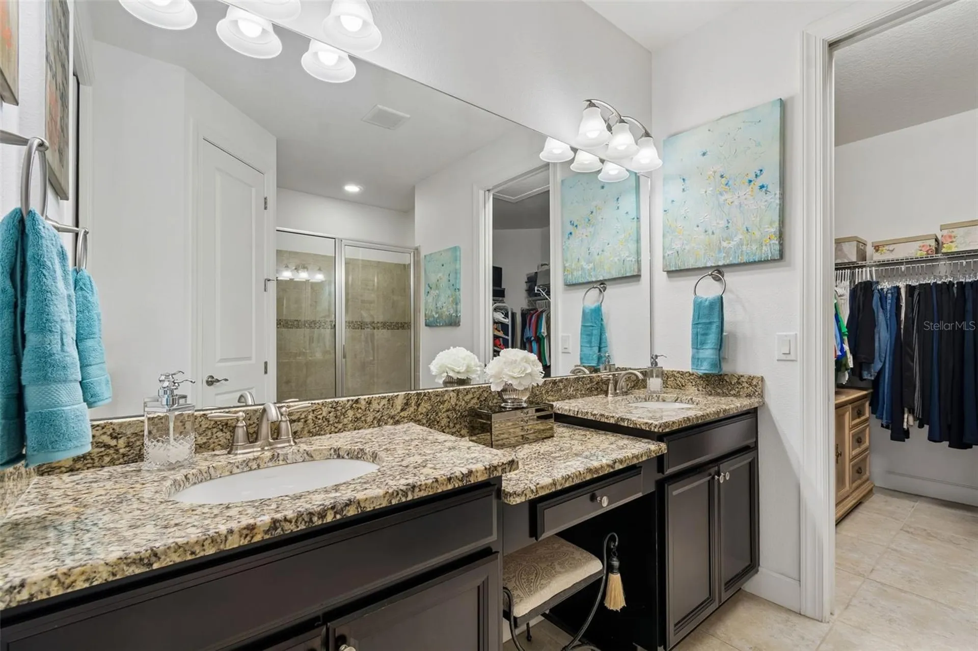 8447 Alberata Vista Drive Tampa FL 33647