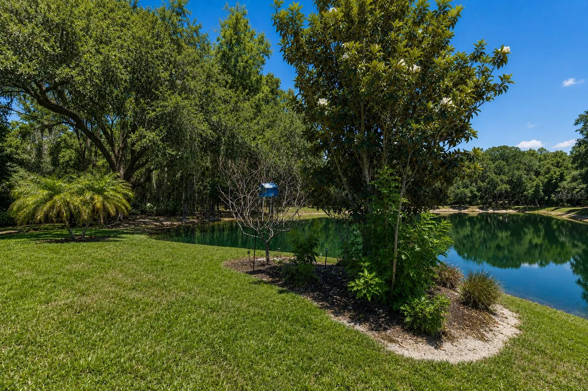 8447 Alberata Vista Drive Tampa FL 33647