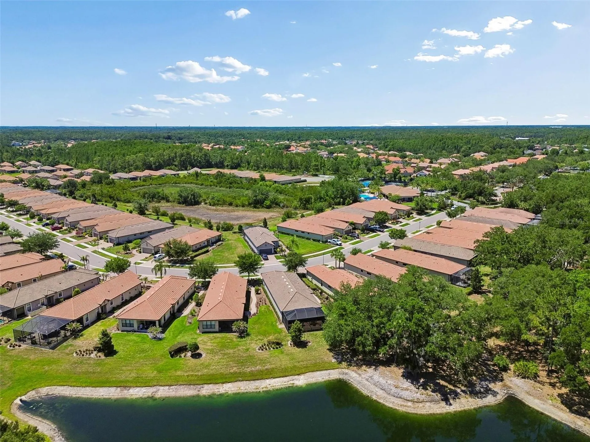 8447 Alberata Vista Drive Tampa FL 33647