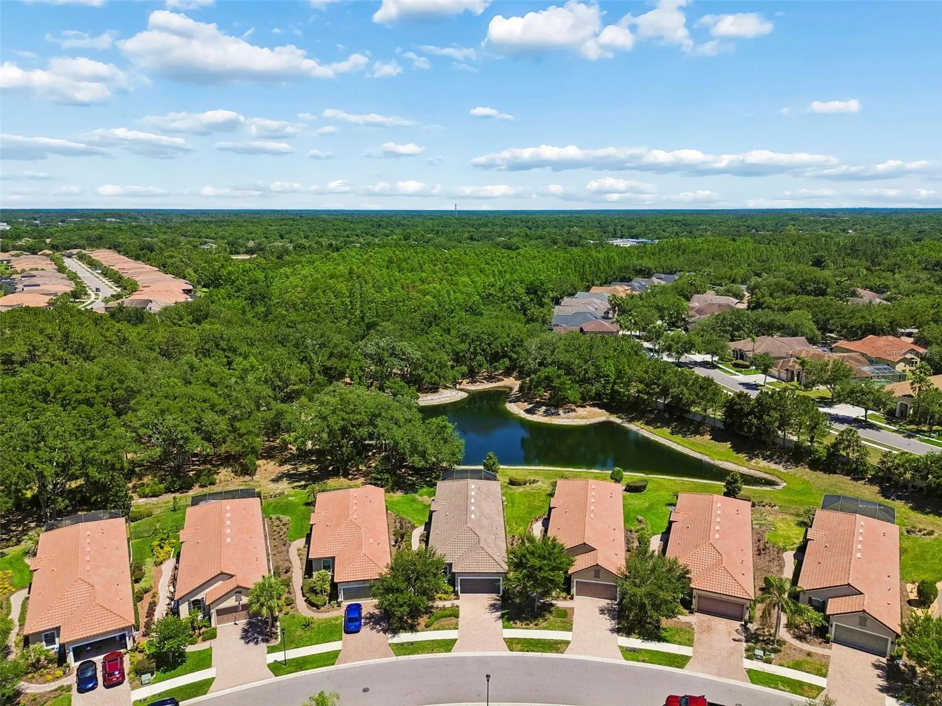 8447 Alberata Vista Drive Tampa FL 33647