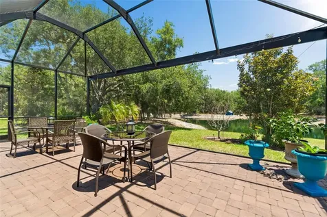 8447 Alberata Vista Drive Tampa FL 33647