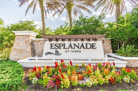 8447 Alberata Vista Drive Tampa FL 33647