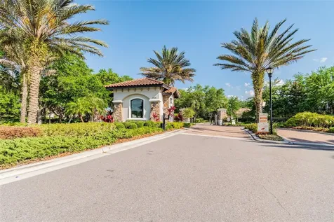 8447 Alberata Vista Drive Tampa FL 33647