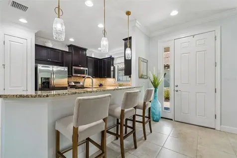 8447 Alberata Vista Drive Tampa FL 33647