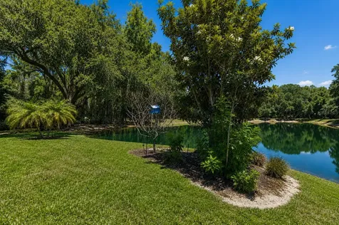 8447 Alberata Vista Drive Tampa FL 33647