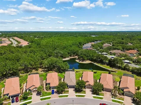 8447 Alberata Vista Drive Tampa FL 33647
