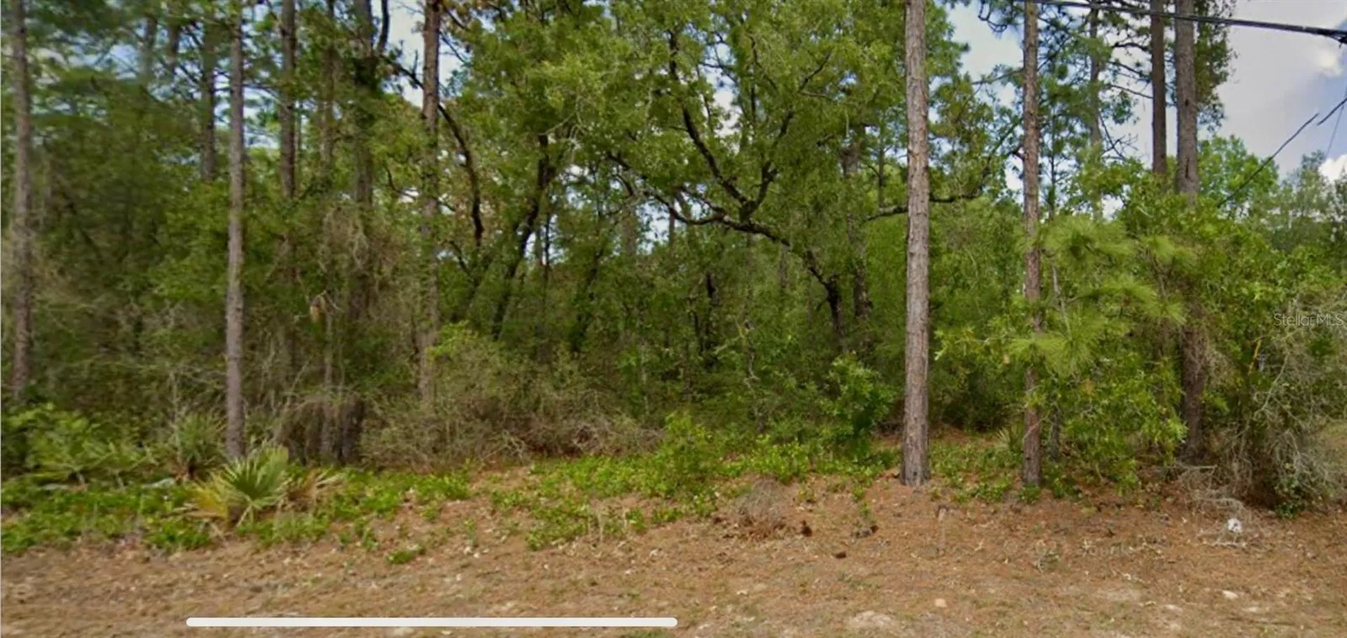 8550 N Citrus Springs Boulevard Citrus Springs FL 34433