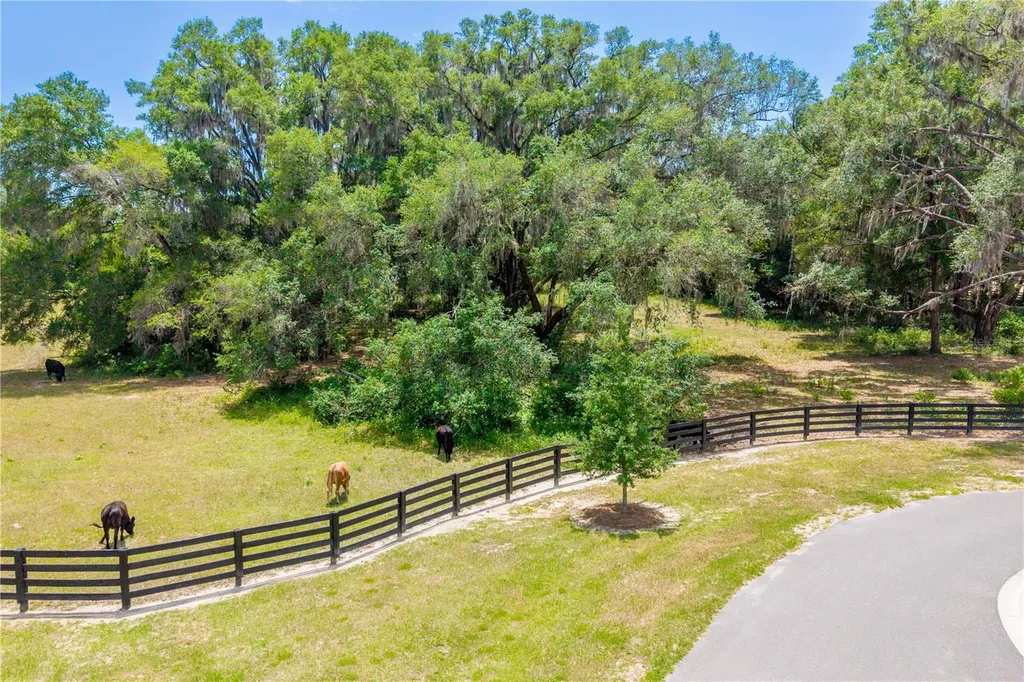 Tbd SW 170th Street Newberry FL 32669