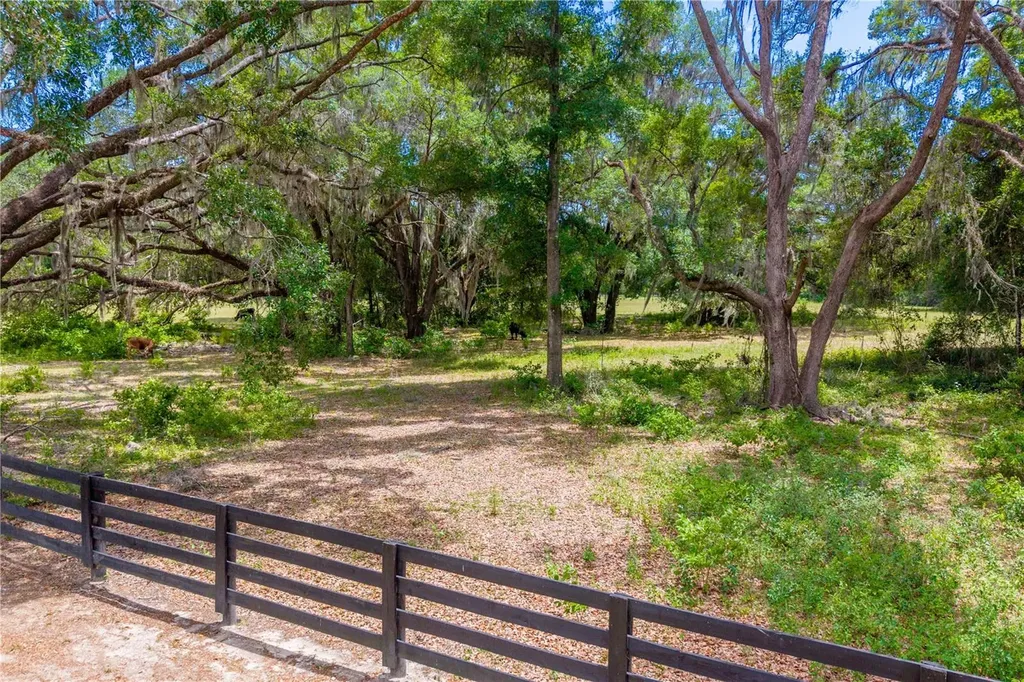 Tbd SW 170th Street Newberry FL 32669