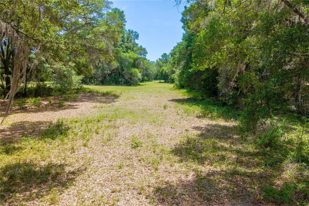 Tbd SW 170th Street Newberry FL 32669