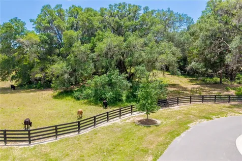Tbd SW 170th Street Newberry FL 32669
