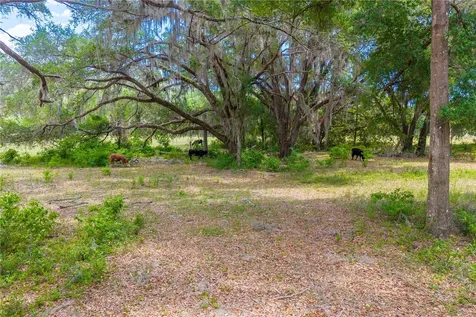 Tbd SW 170th Street Newberry FL 32669