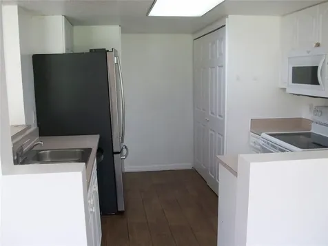 511 Coconut Palm Way Davenport FL 33897