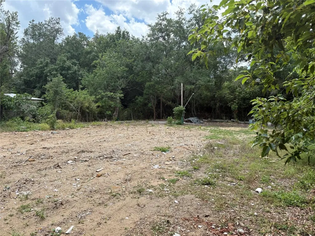 510 Briar Meadows Drive Valrico FL 33594