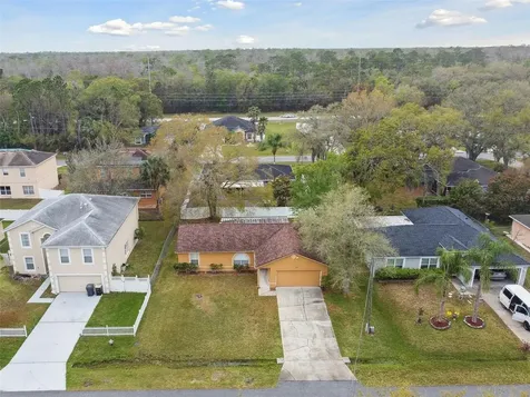 1041 Heron Court Kissimmee FL 34759