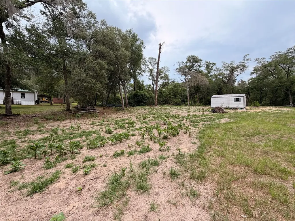 117 Breezy Oak Lane Fort Mc Coy FL 32134