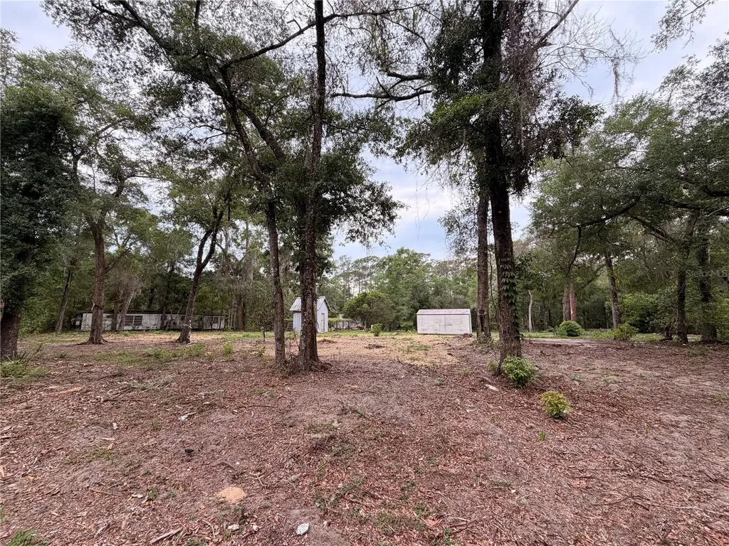 117 Breezy Oak Lane Fort Mc Coy FL 32134