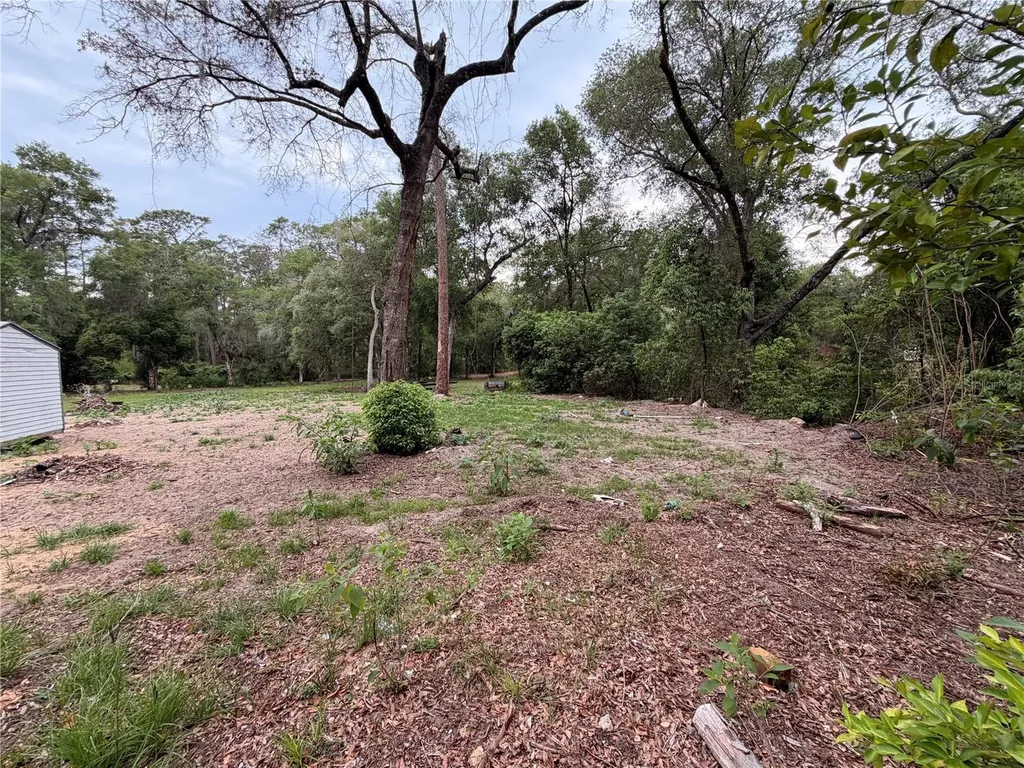 117 Breezy Oak Lane Fort Mc Coy FL 32134