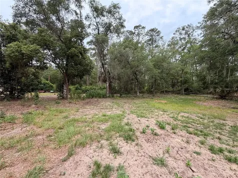 117 Breezy Oak Lane Fort Mc Coy FL 32134