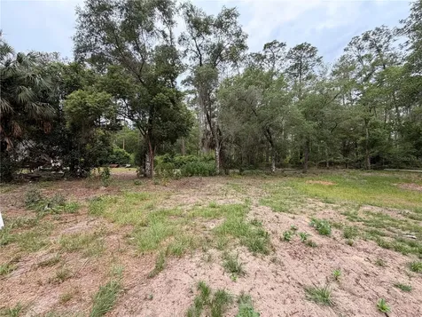 117 Breezy Oak Lane Fort Mc Coy FL 32134