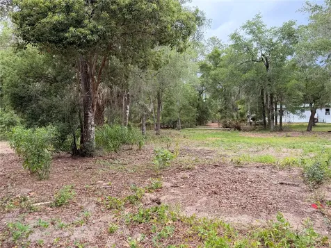 117 Breezy Oak Lane Fort Mc Coy FL 32134