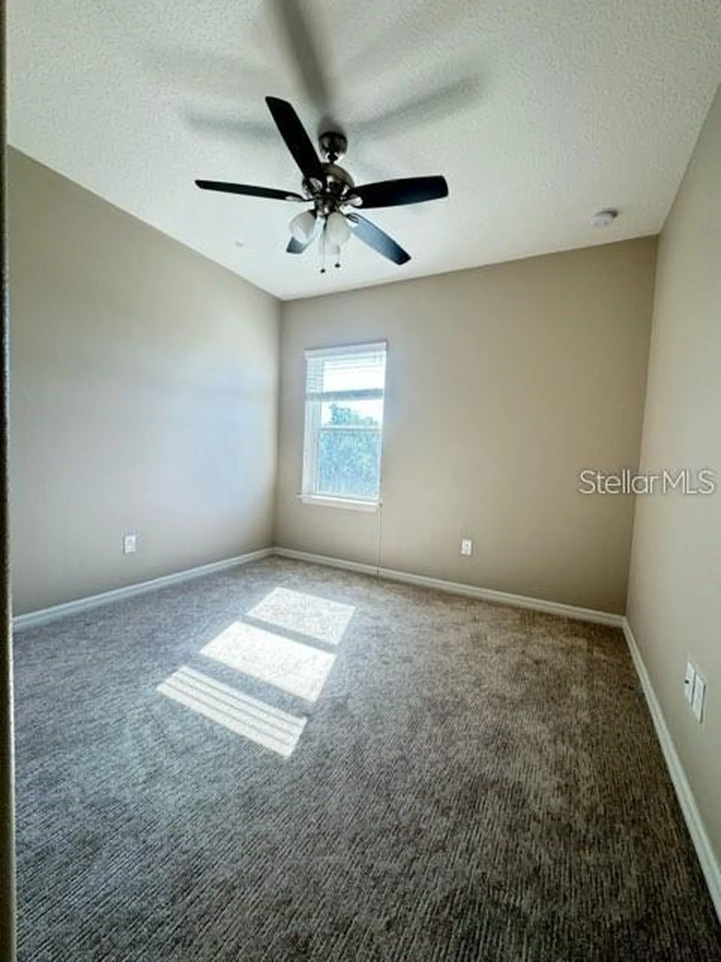 5922 Anise Drive Sarasota FL 34238