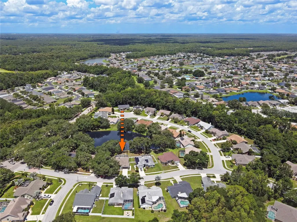 4617 Basswood Street Land O Lakes FL 34639
