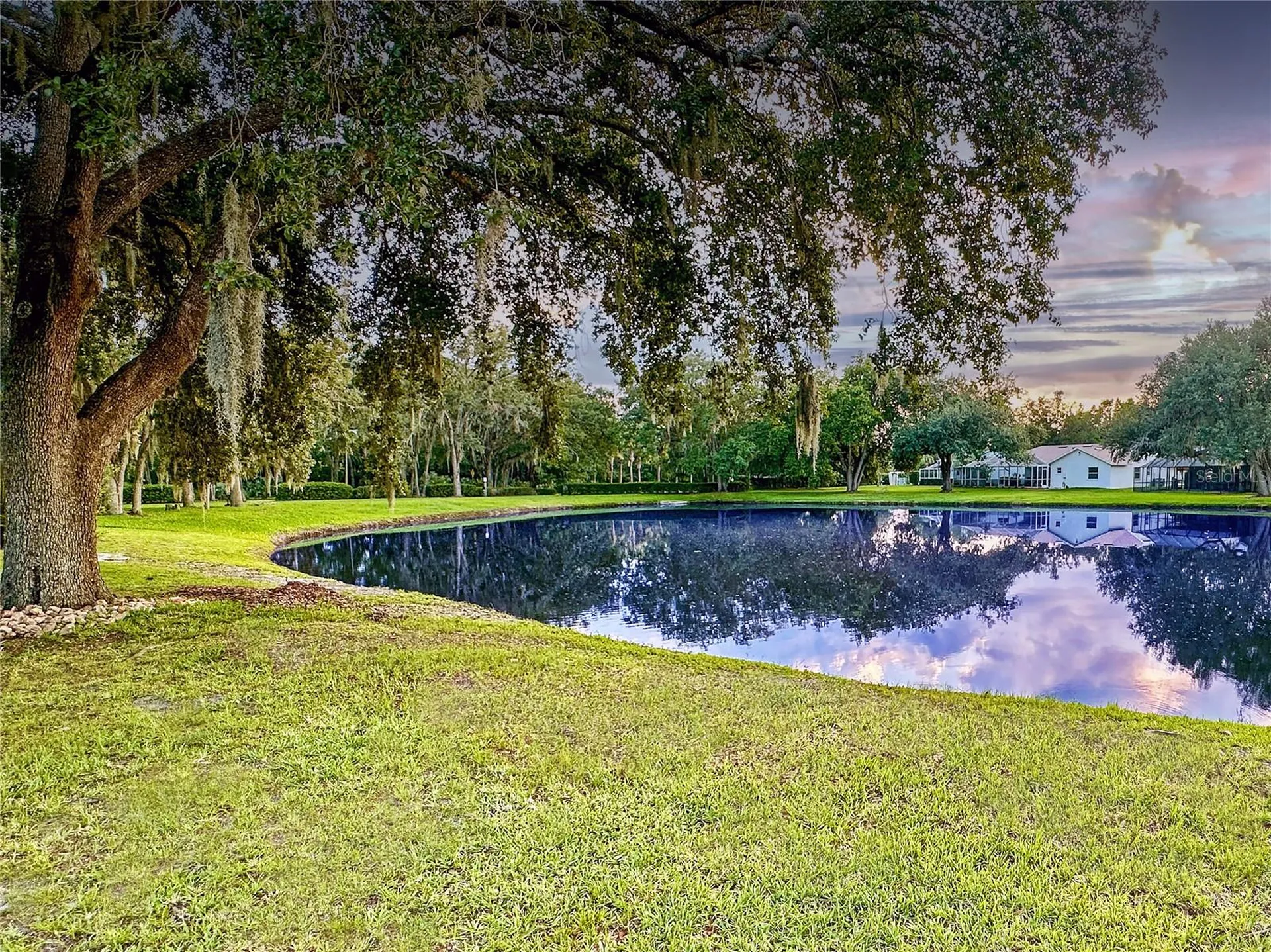 4617 Basswood Street Land O Lakes FL 34639