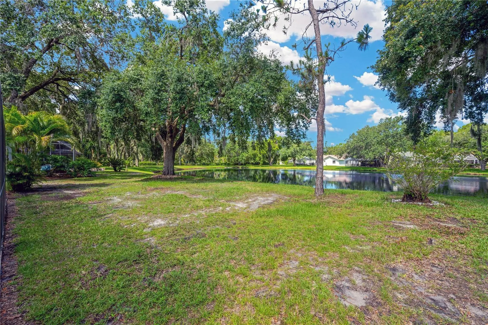 4617 Basswood Street Land O Lakes FL 34639