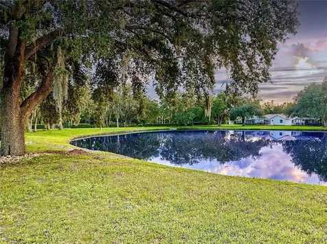 4617 Basswood Street Land O Lakes FL 34639