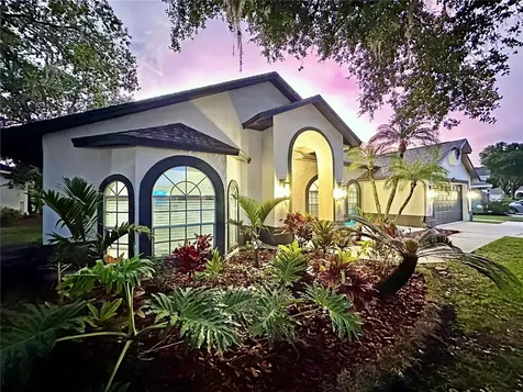 4617 Basswood Street Land O Lakes FL 34639
