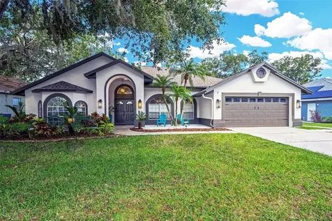 4617 Basswood Street Land O Lakes FL 34639