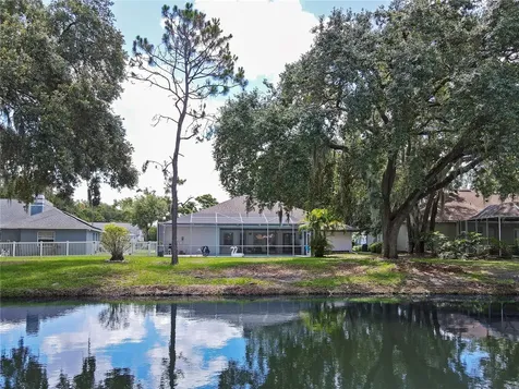 4617 Basswood Street Land O Lakes FL 34639