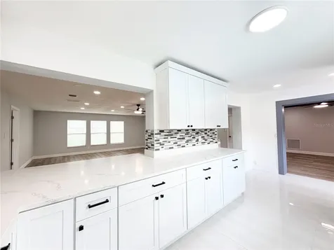 2078 Allegheny Court Orlando FL 32818