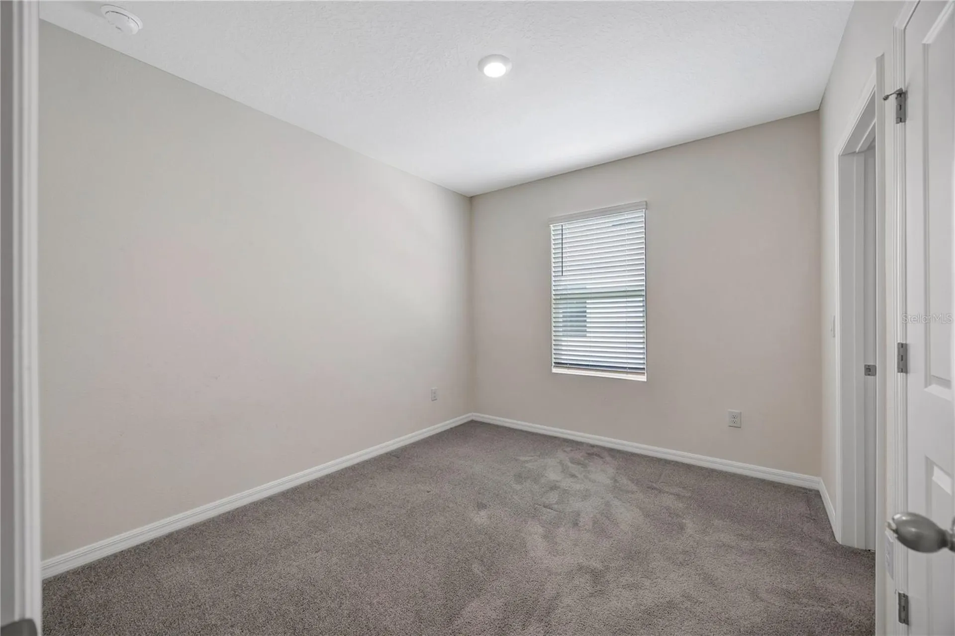 1466 Colt Creek Place Wesley Chapel FL 33543