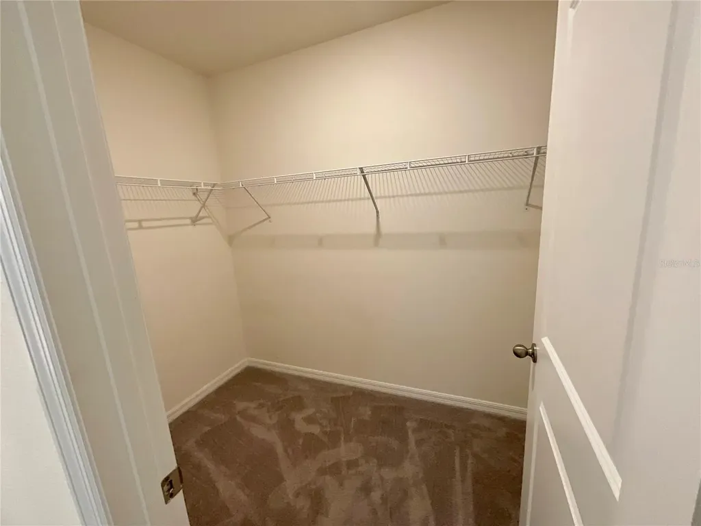33409 Field Maple Loop Wesley Chapel FL 33545