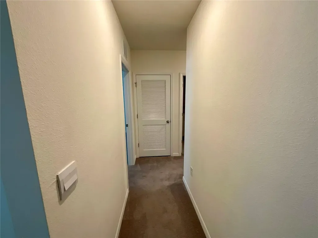 33409 Field Maple Loop Wesley Chapel FL 33545