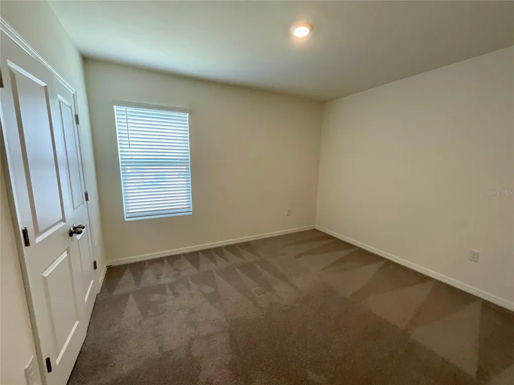 33409 Field Maple Loop Wesley Chapel FL 33545