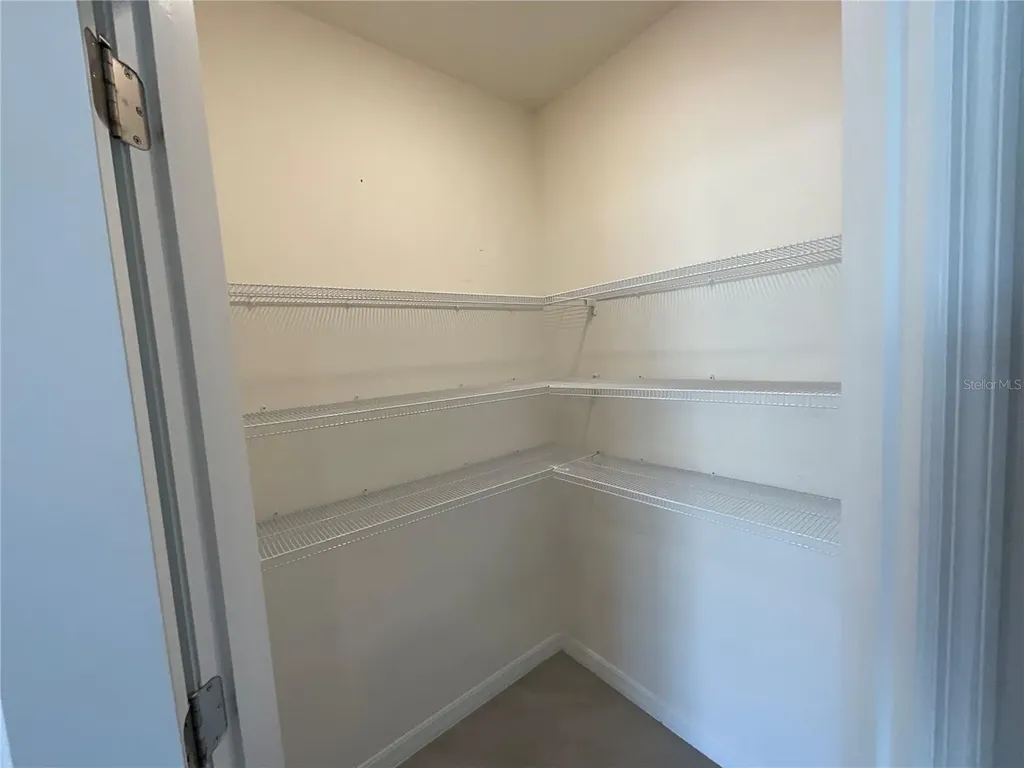 33409 Field Maple Loop Wesley Chapel FL 33545