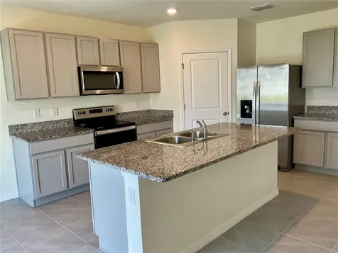 33409 Field Maple Loop Wesley Chapel FL 33545