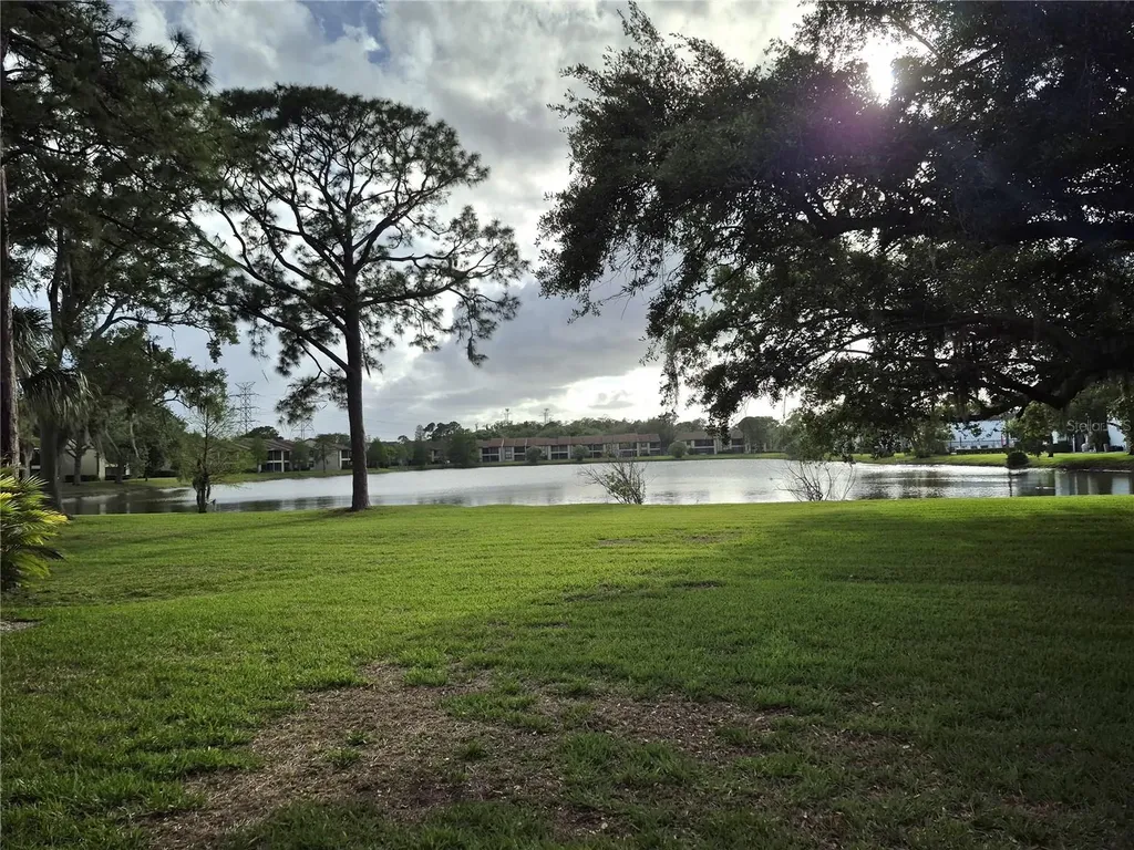50 Woodlake Place Oldsmar FL 34677