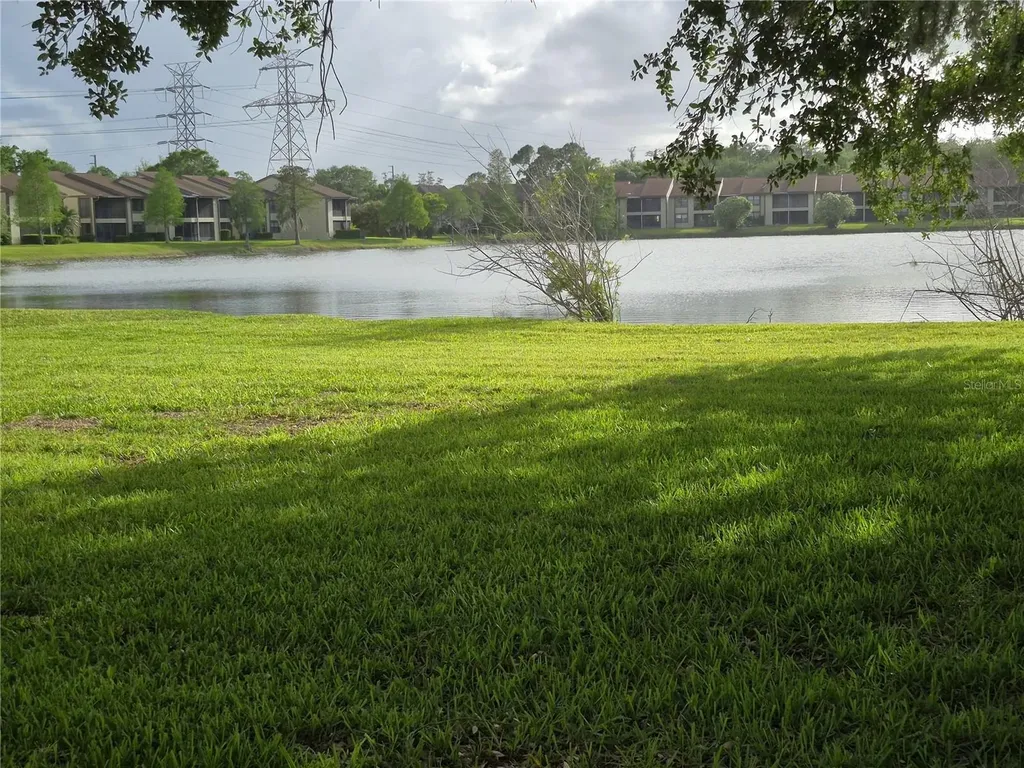 50 Woodlake Place Oldsmar FL 34677