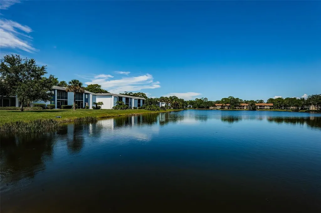 50 Woodlake Place Oldsmar FL 34677