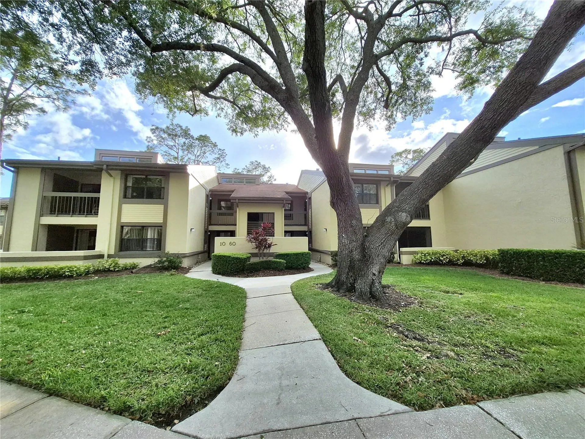 50 Woodlake Place Oldsmar FL 34677
