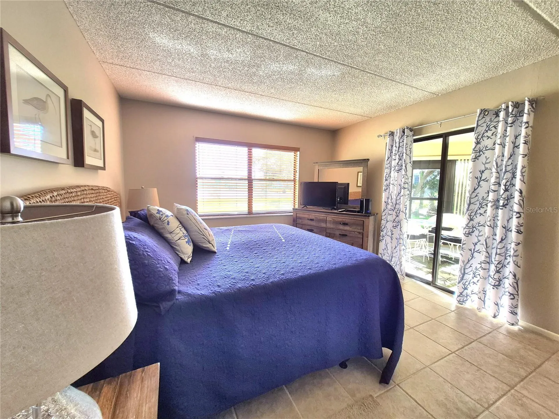 50 Woodlake Place Oldsmar FL 34677
