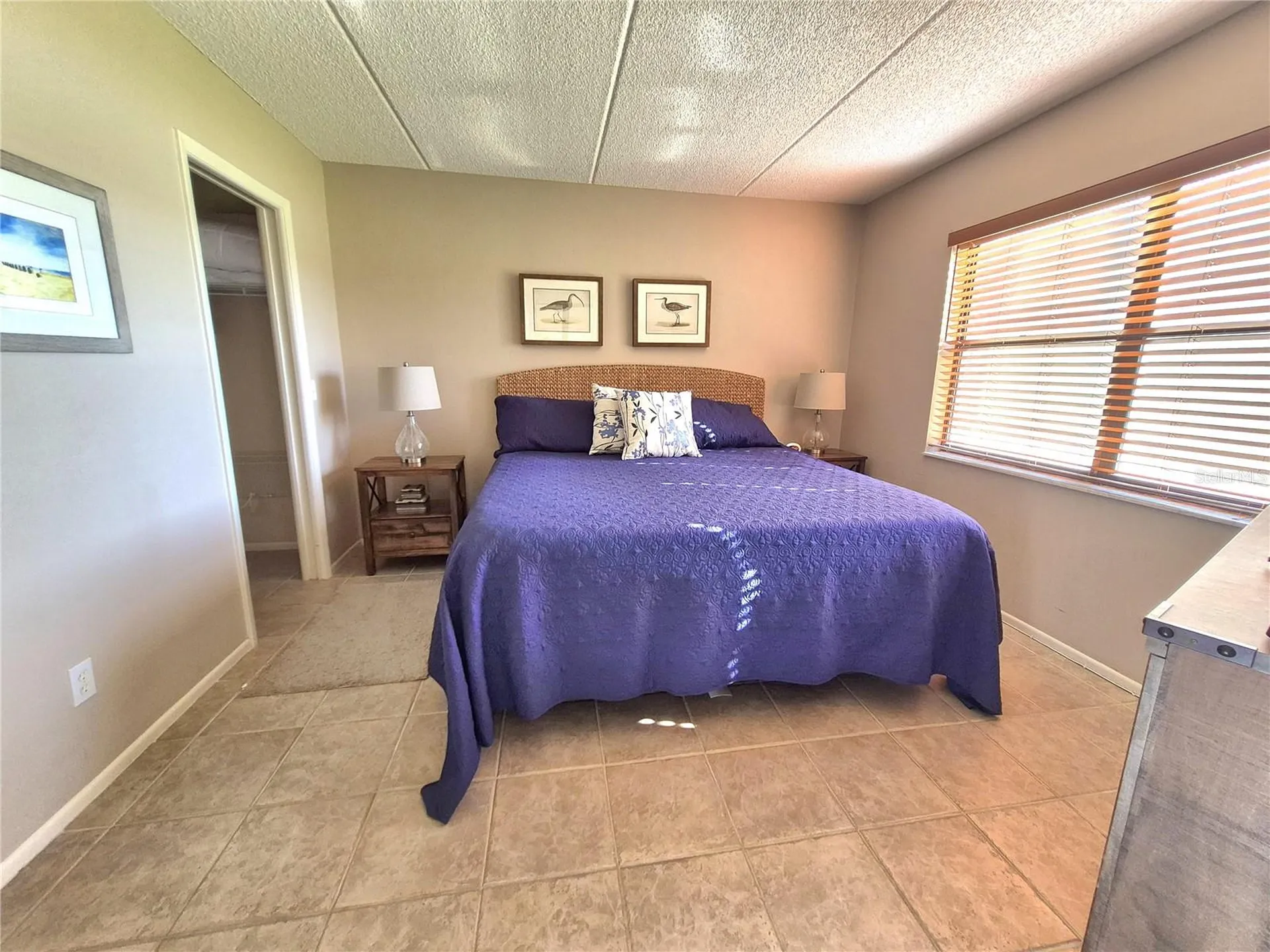 50 Woodlake Place Oldsmar FL 34677