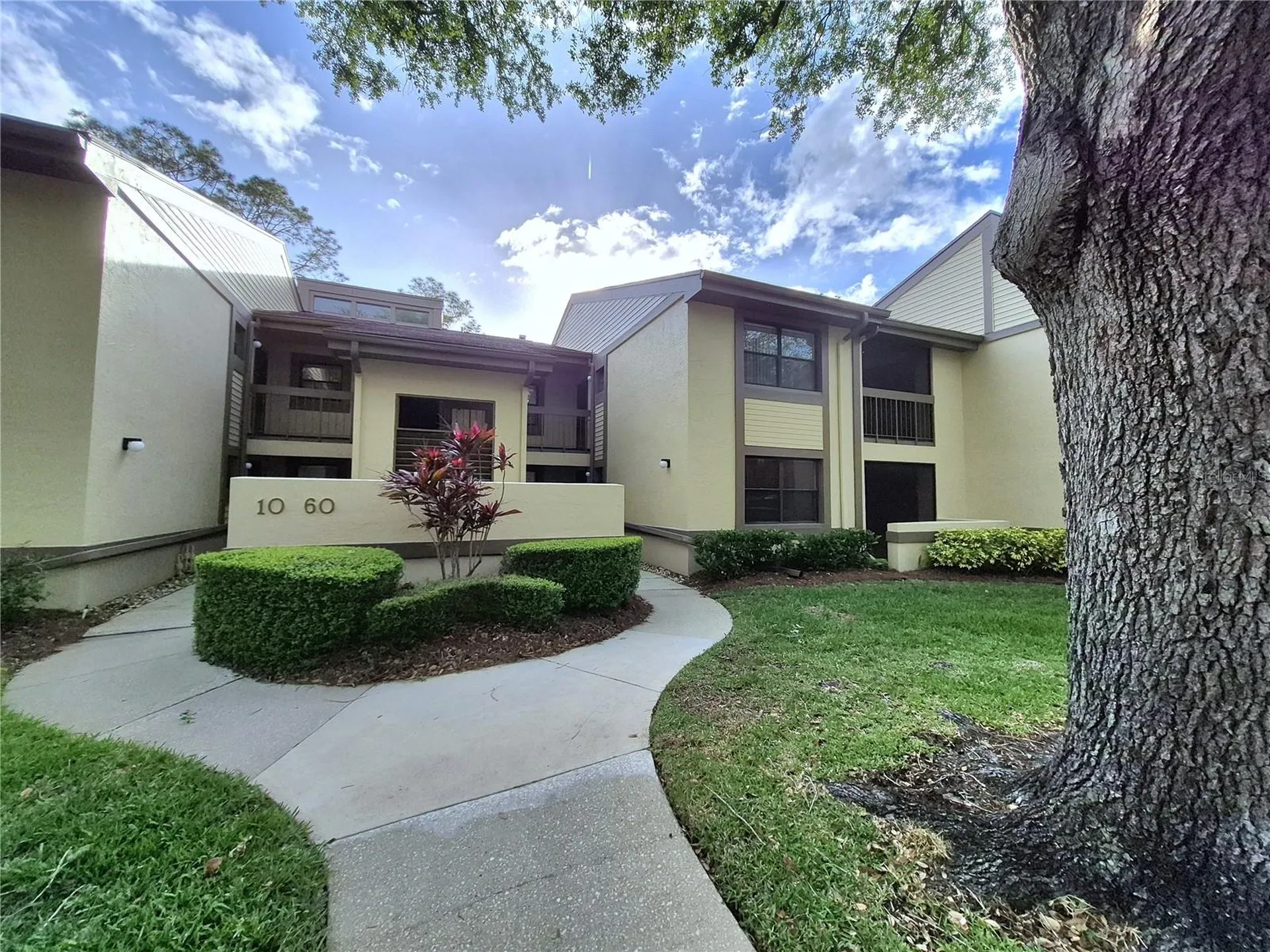 50 Woodlake Place Oldsmar FL 34677