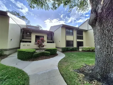 50 Woodlake Place Oldsmar FL 34677