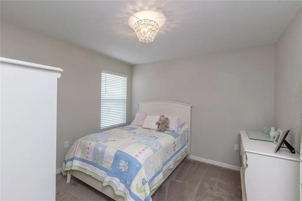 34327 Verbena Street Wesley Chapel FL 33545