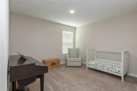 34327 Verbena Street Wesley Chapel FL 33545